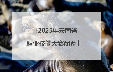 2025年云南省职业技能大赛闭幕