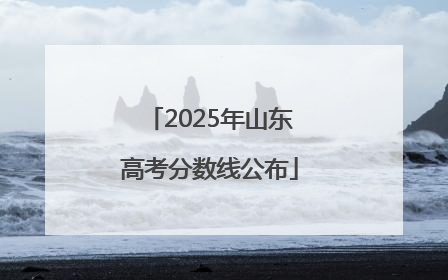 2025年山东高考分数线公布