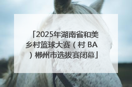 2025年湖南省和美乡村篮球大赛（村 BA）郴州市选拔赛闭幕