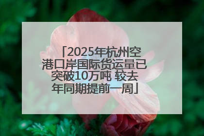 2025年杭州空港口岸国际货运量已突破10万吨 较去年同期提前一周