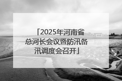 2025年河南省总河长会议暨防汛备汛调度会召开