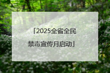 2025全省全民禁毒宣传月启动