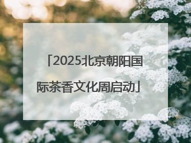 2025北京朝阳国际茶香文化周启动