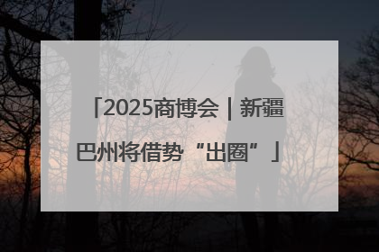 2025商博会｜新疆巴州将借势“出圈”