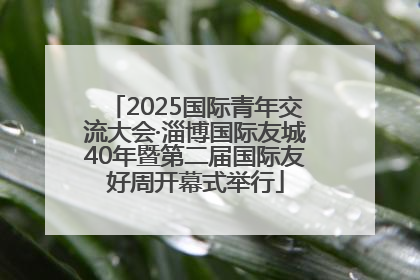 2025国际青年交流大会·淄博国际友城40年暨第二届国际友好周开幕式举行
