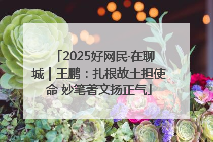 2025好网民·在聊城｜王鹏：扎根故土担使命 妙笔著文扬正气