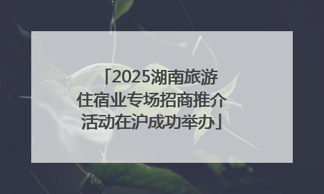 2025湖南旅游住宿业专场招商推介活动在沪成功举办