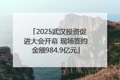 2025武汉投资促进大会开幕 现场签约金额984.9亿元
