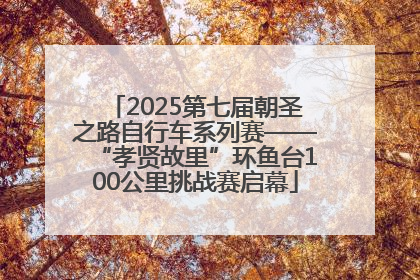 2025第七届朝圣之路自行车系列赛——“孝贤故里”环鱼台100公里挑战赛启幕