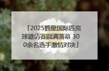 2025鹤壁国际匹克球邀请赛圆满落幕 300余名选手激情对决