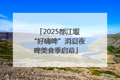 2025都江堰“好嗨啤”消夏夜啤美食季启幕