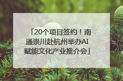 20个项目签约！南通崇川赴杭州举办AI赋能文化产业推介会