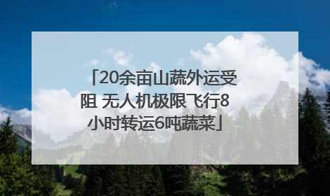 20余亩山蔬外运受阻 无人机极限飞行8小时转运6吨蔬菜