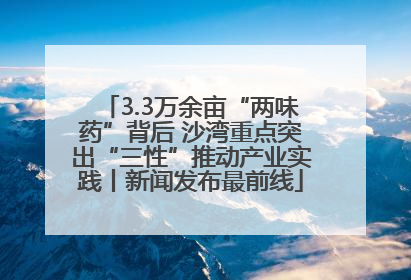 3.3万余亩“两味药”背后 沙湾重点突出“三性”推动产业实践丨新闻发布最前线