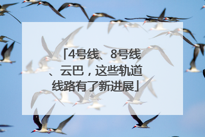 4号线、8号线、云巴，这些轨道线路有了新进展