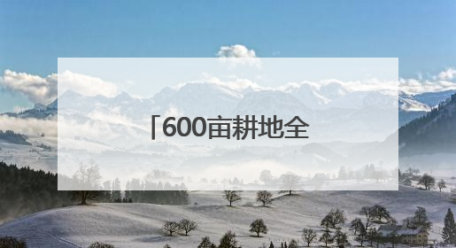 600亩耕地全面开种 成都东部新区东山农场示范园正式亮相