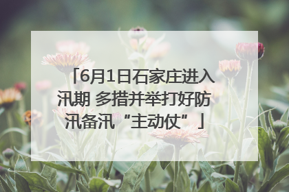 6月1日石家庄进入汛期 多措并举打好防汛备汛“主动仗”