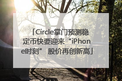 Circle掌门预测稳定币快要迎来“iPhone时刻” 股价再创新高