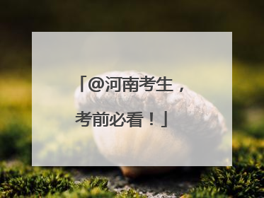 @河南考生，考前必看！