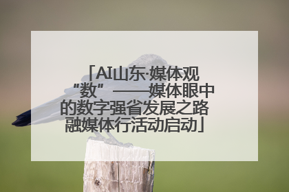 AI山东·媒体观“数”——媒体眼中的数字强省发展之路融媒体行活动启动