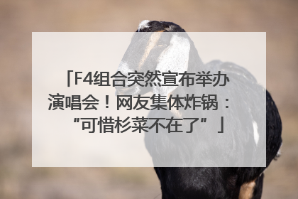 F4组合突然宣布举办演唱会！网友集体炸锅：“可惜杉菜不在了”