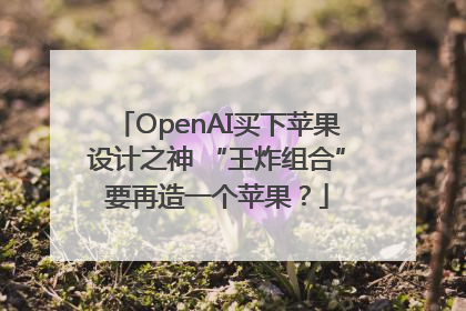 OpenAI买下苹果设计之神 “王炸组合”要再造一个苹果？