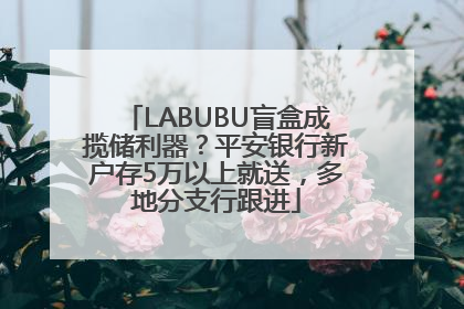 LABUBU盲盒成揽储利器？平安银行新户存5万以上就送，多地分支行跟进