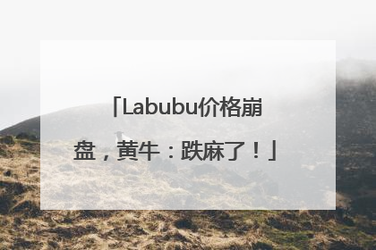 Labubu价格崩盘，黄牛：跌麻了！