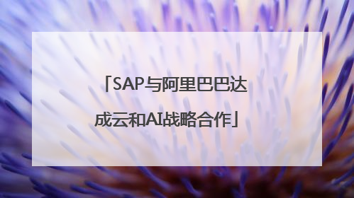 SAP与阿里巴巴达成云和AI战略合作