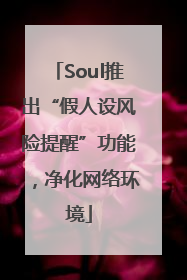 Soul推出“假人设风险提醒”功能，净化网络环境