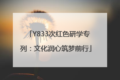 Y833次红色研学专列：文化润心筑梦前行